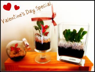 bottle,terrarium,valentine's day