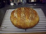 th_IMGP3327R.jpg