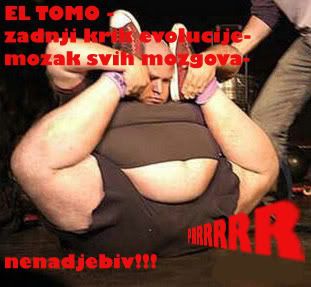 el tomo-vrhunac evolucije