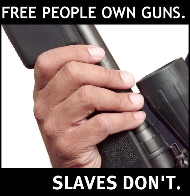 gun-rights-slavespreview.jpg
