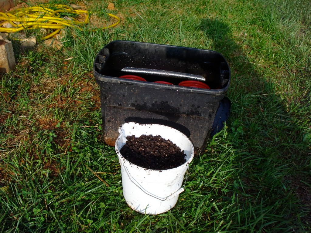 Extreme Composting - Homesteading Questions