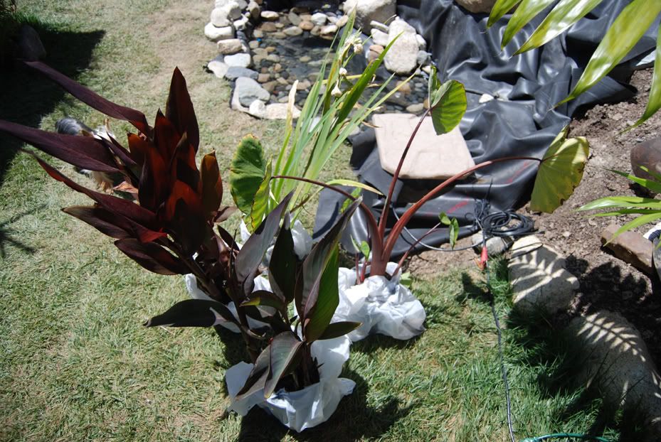 05-23-10-1.jpg