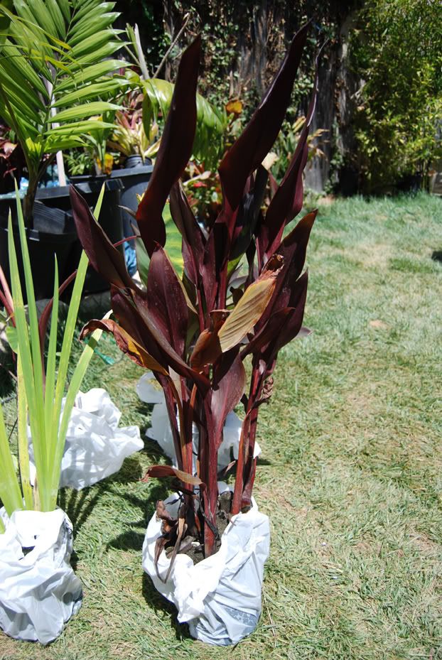 05-23-10-2.jpg
