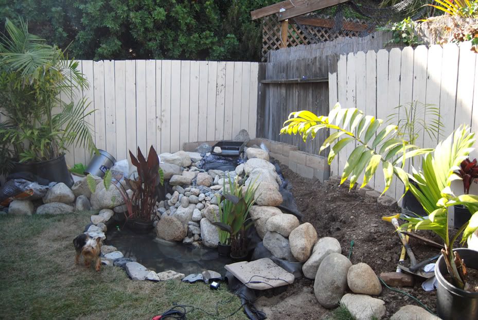 05-23-10-4.jpg