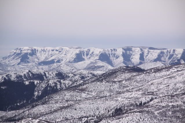 Flattops2-27-1069.jpg