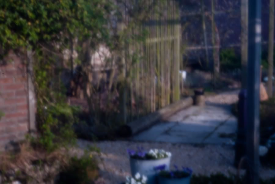 Fotografie