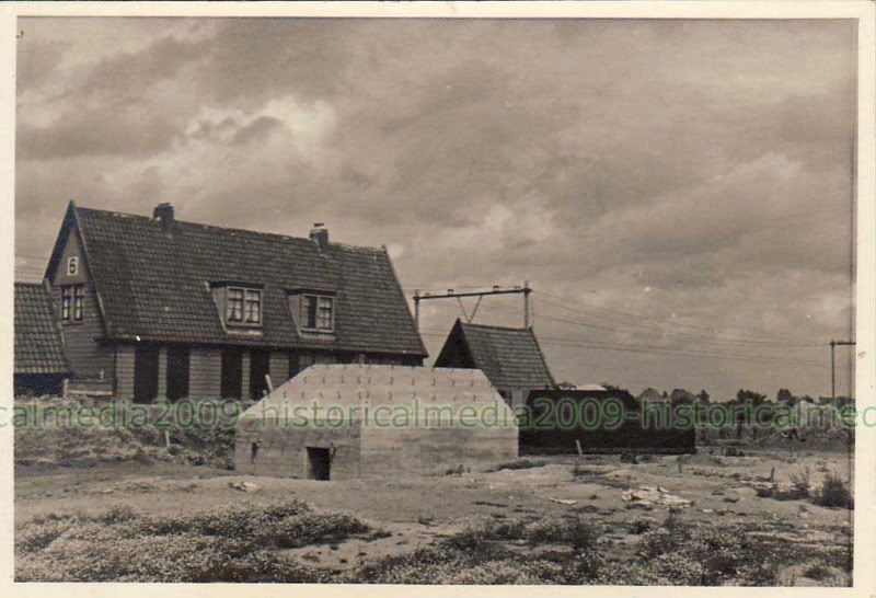Fotografie