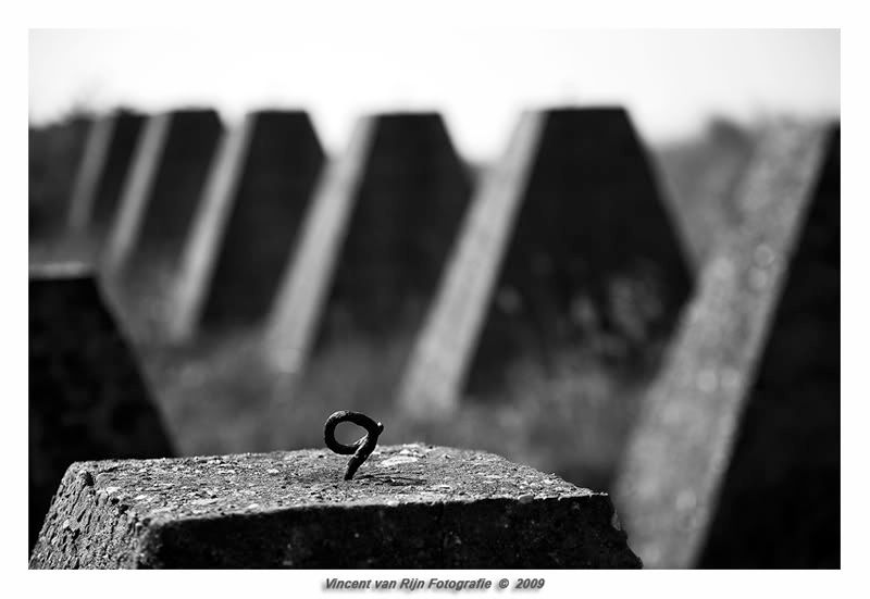 Fotografie