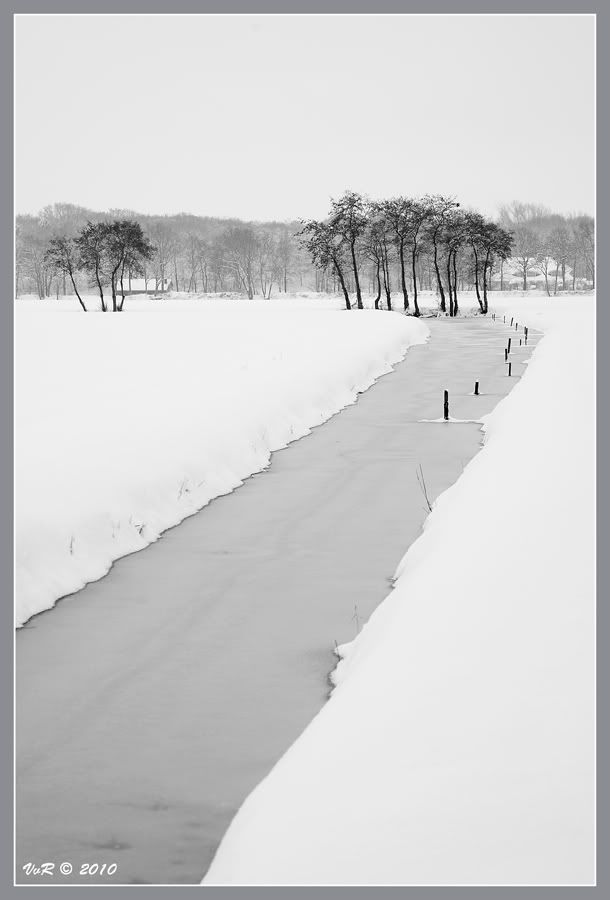 Fotografie