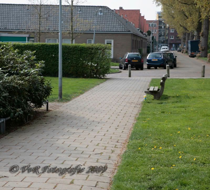 Fotografie