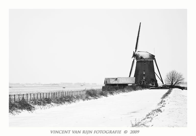 Fotografie