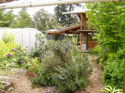 Suburban Permaculture