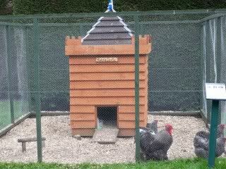 100_3849.jpg