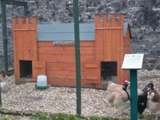 100_3850.jpg
