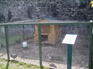 100_3856.jpg