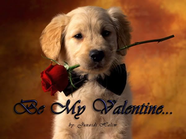 Be My Valentine Pictures, Images and Photos