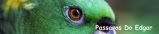 Avatar do Utilizador