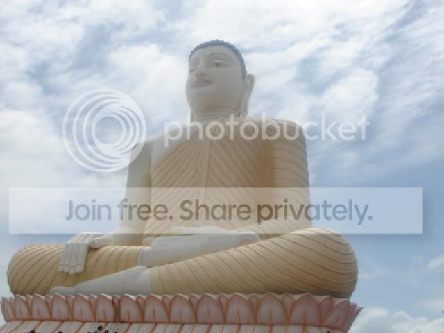 DSC00158.jpg