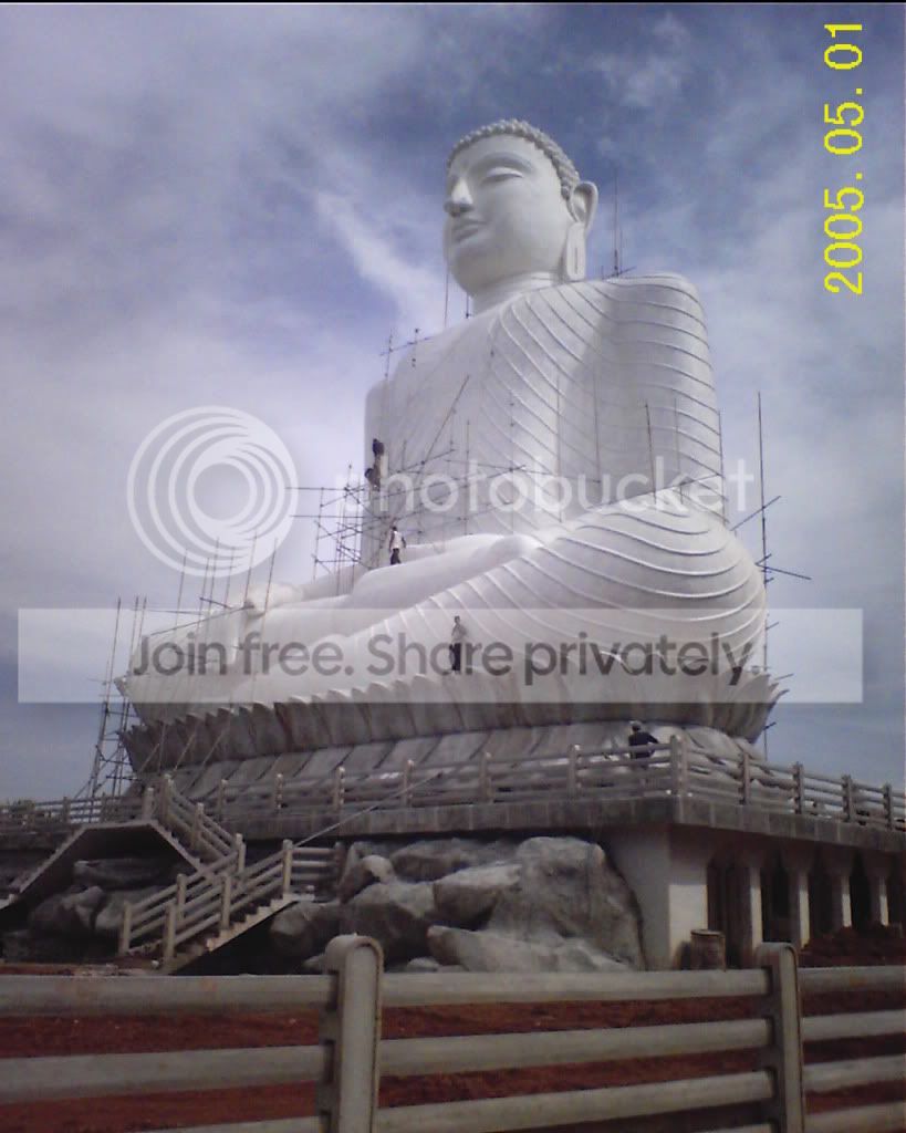 RECO0066.jpg